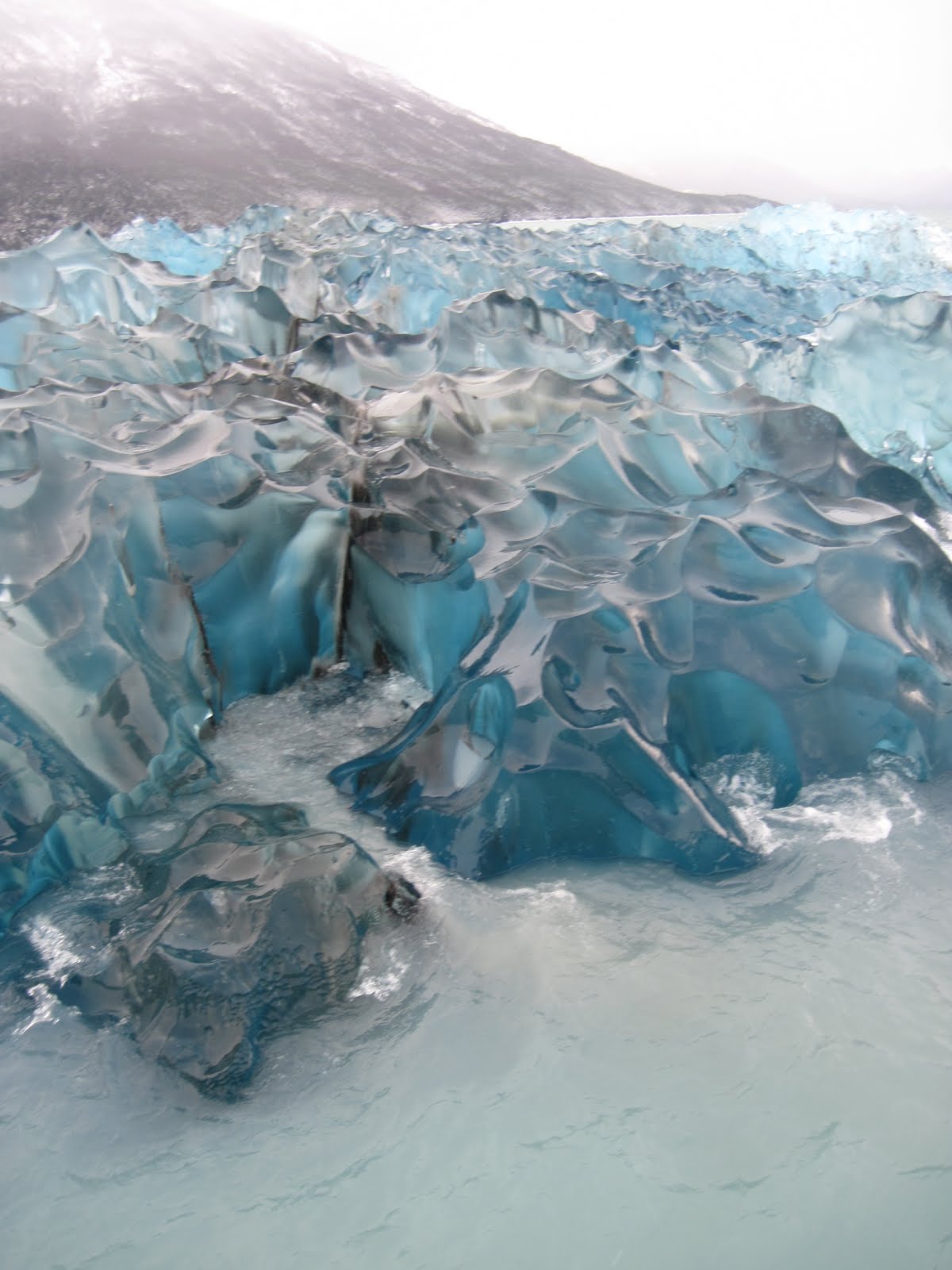 Veggie Voyagers: Orien in Patagonia