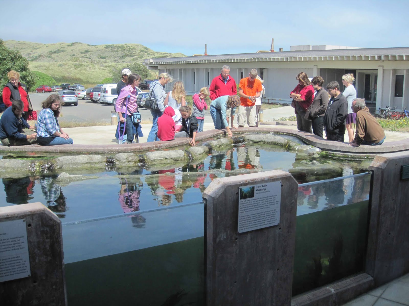 BodegaBayLife Bodega Marine Lab