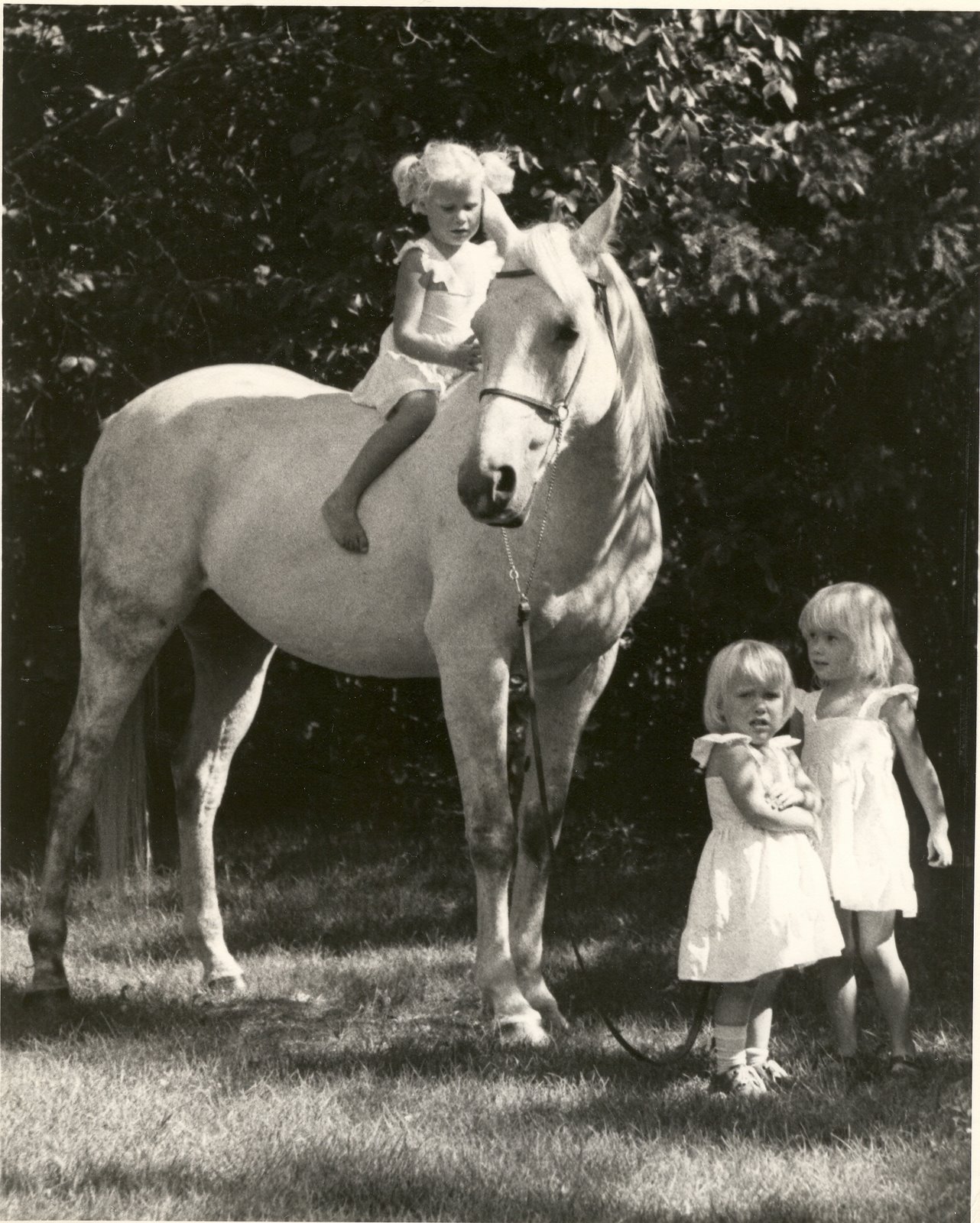 [Sloan+girls+with+horse.jpg]