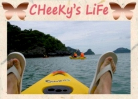 CHeeKy's LiFe