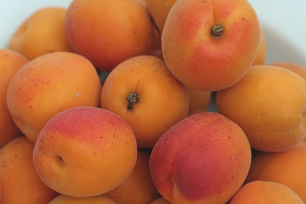 Kochsamkeit: französische Aprikosentarte mit Lavendel