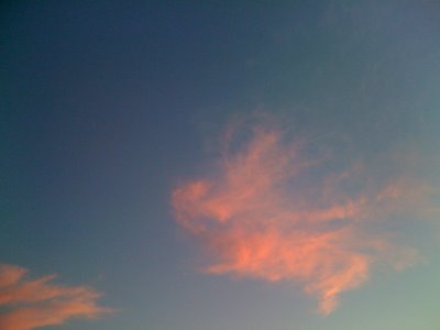 [IMG_0157.JPG]