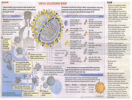 Virus Selesema Babi
