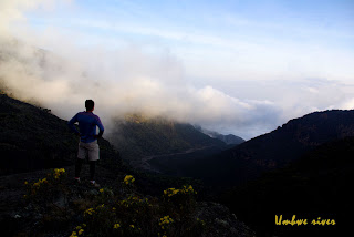 Ascensión a Kilimanjaro, Umbwe route en 4 días - Blogs de Tanzania - Ascensión al Kilimanjaro, Umbwe route en 4 días (11)