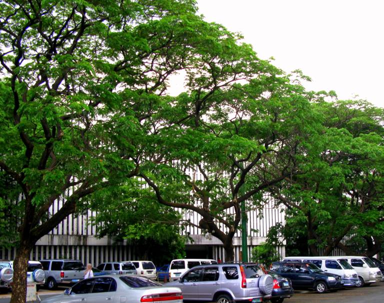 Eye in the Sky Philippines A Stroll Around Quezon City Hall Complex