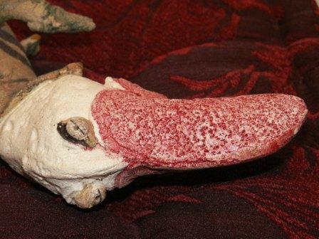 [O+perÃº+e+a+cardina+1.JPG]