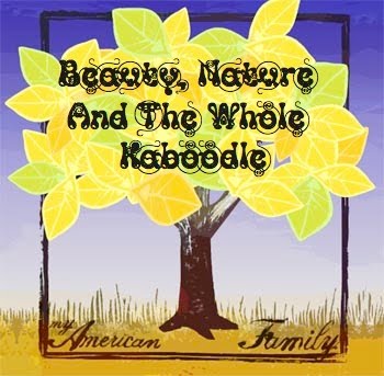 Beauty, Nature, and The Whole Kit and Caboodle