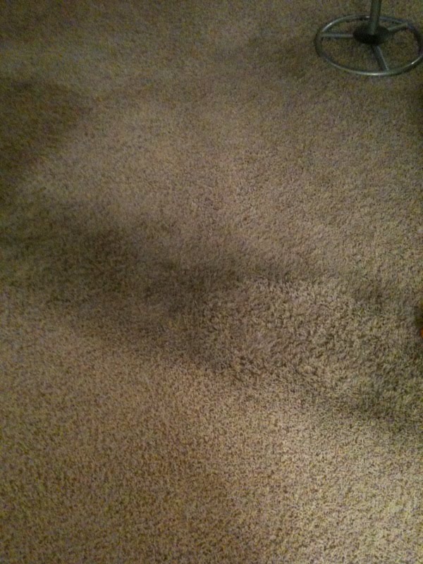 [Dirty+carpet.jpg]