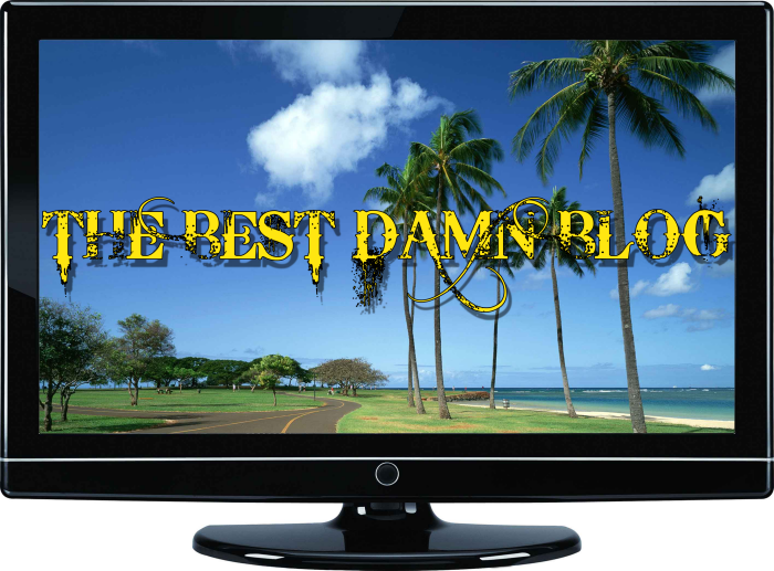 What is a digital tv descrambler? (with pictures) The Best Damn Blog // Packed with Entertainment: September 2010