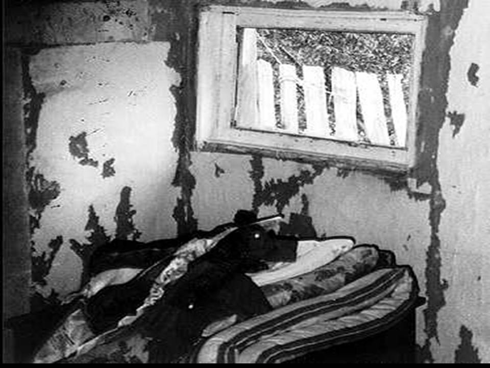 [La+guarida+(002).JPG]