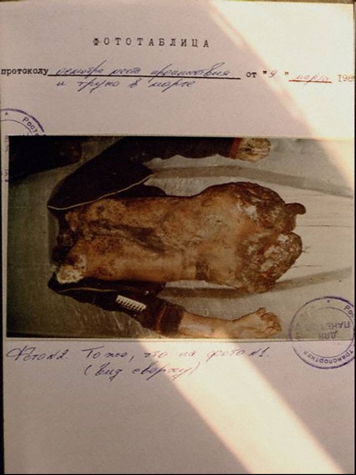 [Los+cadáveres+(007).JPG]