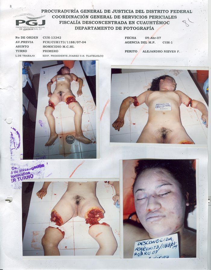 [La+Jarocha+(001).jpg]