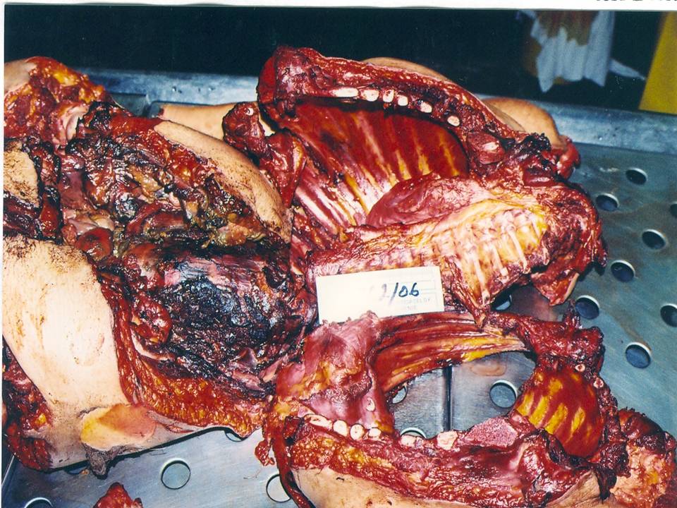 [La+novia+muerta+(008).JPG]