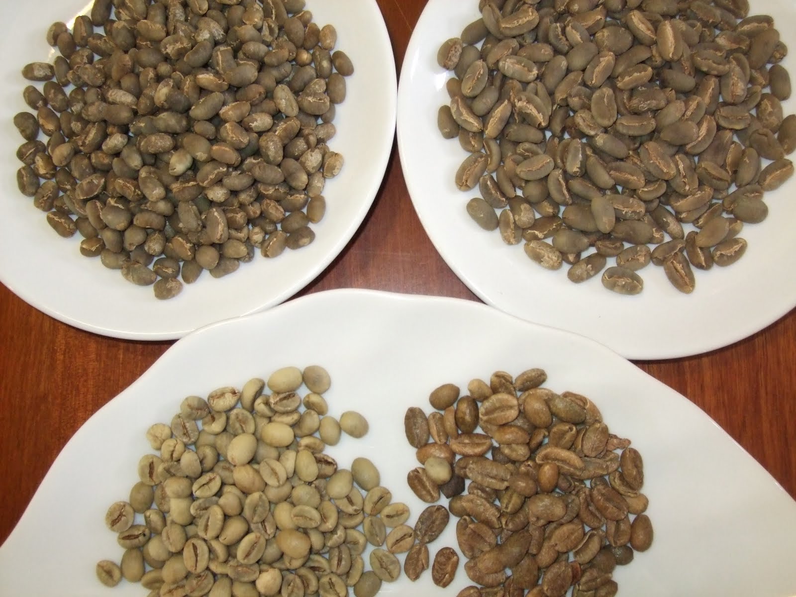 Penang Syphon coffee Something beyond fresh roasted coffee beans!!!