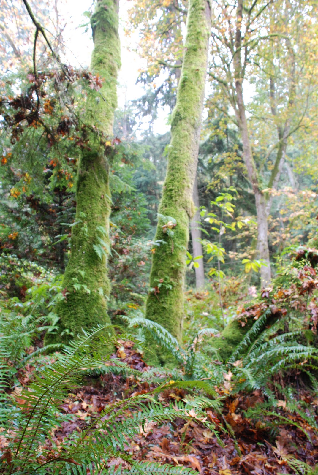 Retales desde California: octubre 2010