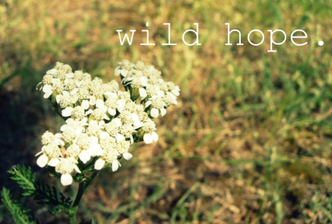 wild hope.