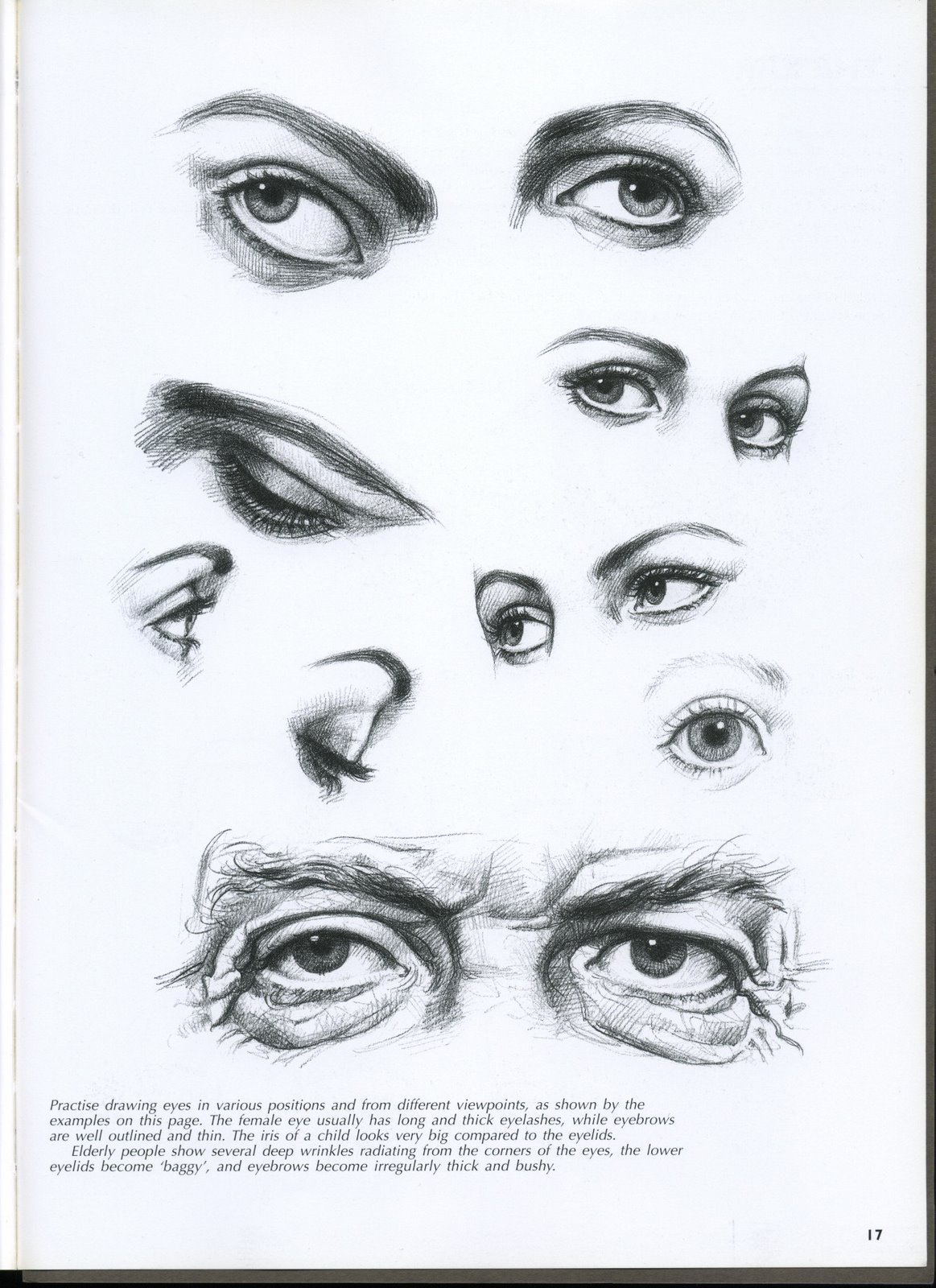 [Civardi-Portrait_Page_18-783453.jpg]