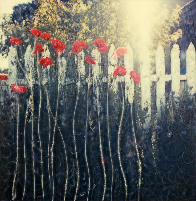 [DSC_1683_poppies_longstem.jpg]