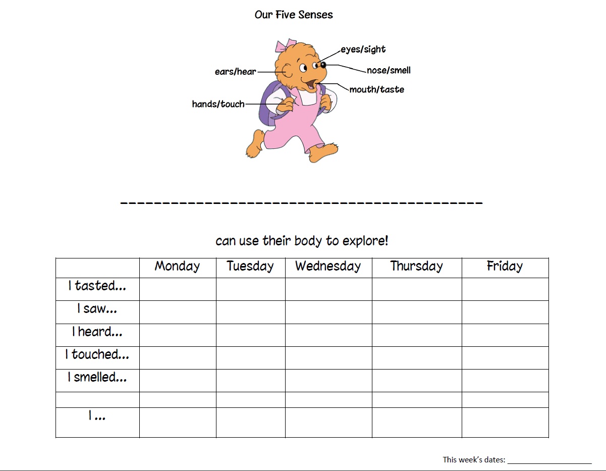 five sense worksheet: NEW 789 FIVE SENSES WORKSHEETS FOR GRADE 2