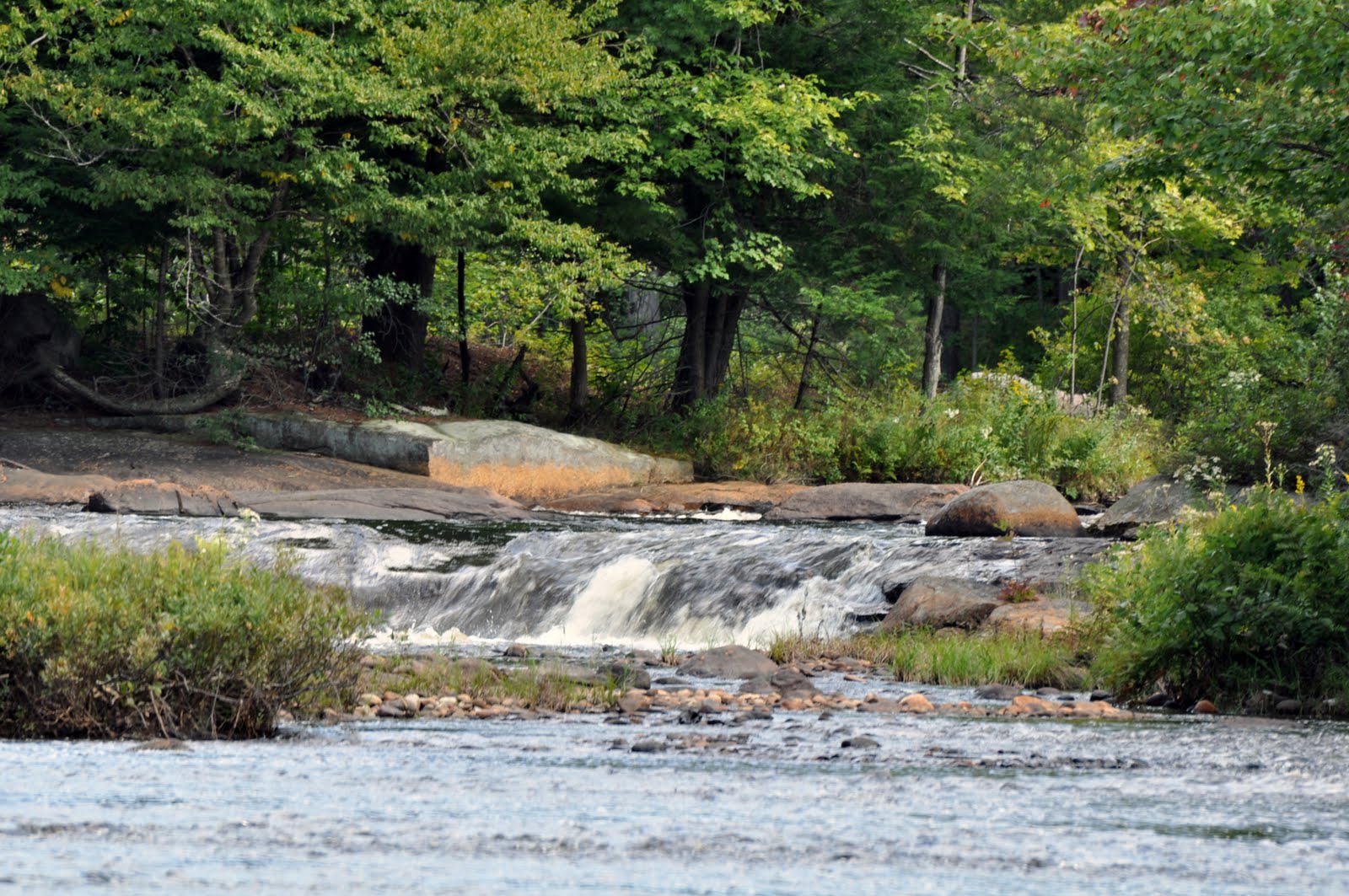 My Kayuta Lake Paddling along Woodhull Creek