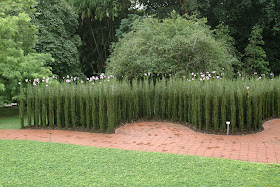 FREE-PHOTOSHOP BACKGROUNDS-HIGH-RESOLUTION WALLPAPERS & TEMPLATES