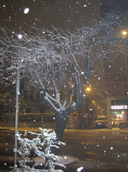 Winter in Parma