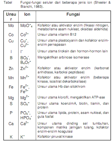 Senyawa penyusun tersusun kimia adalah organik dan atas senyawa protoplasma anorganik protoplasma senyawa organik senyawa Senyawa kimia