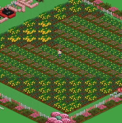[farmville+2.jpg]