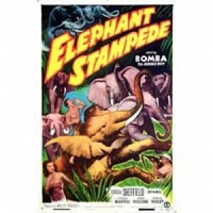 [ELEPHANTSTAMPEDE.jpg]