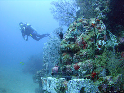  the ancient Sea Gods of Bali decreed that a temple should live  erected inward their award at  DestinationsinBali; Underwater Temples, Bali