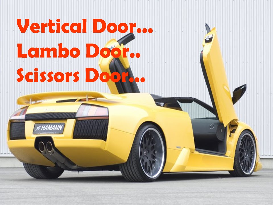 Fire Starting Automobil Vertical Door... Lambo Door.. Scissors Door