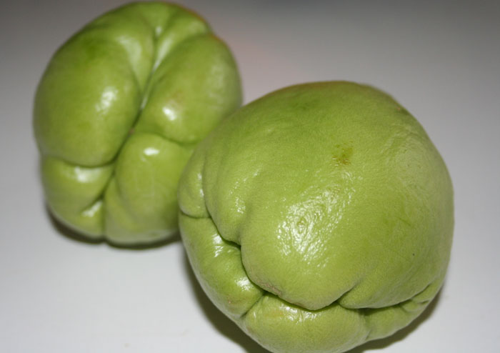 [chayote_safewaySM.jpg]