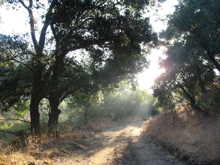 Soquel Canyon Road