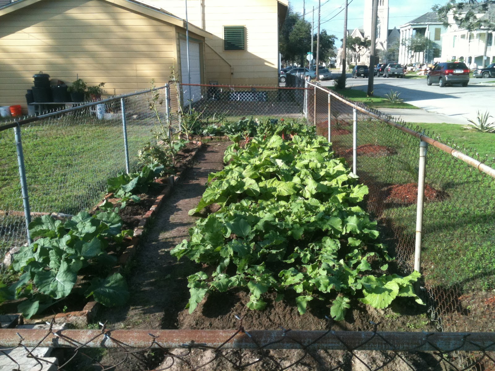 Galveston Gardening Urban Vegetable Gardening...