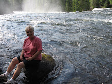 7-15 Dawson Falls, Wells Gray Park
