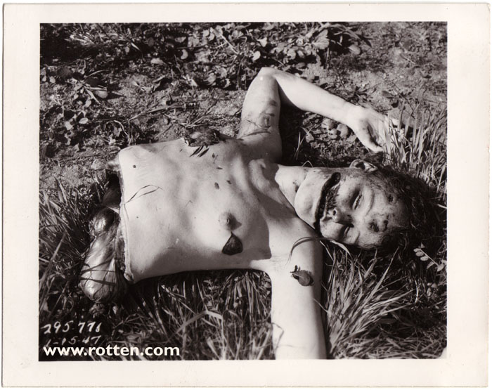 The black dahlia in hollywood. Black christmas dvdrip fr by djante quebec team hotfile rapidshare