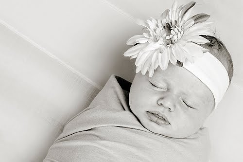 [IMGP7627bw-blog.jpg]