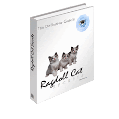 Ragdoll Cat Secrets