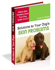 Dog skin solutions