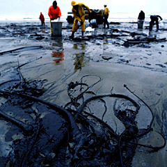 [Oil-spill.jpg]