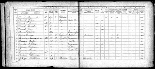 Familia Comolli - Censo 1895