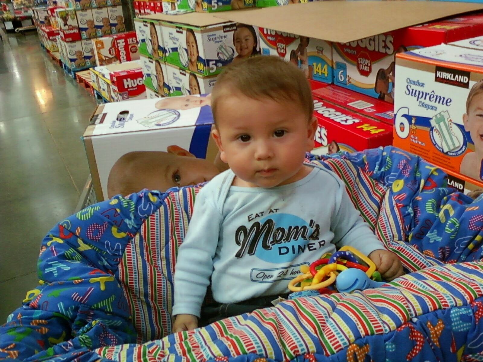 [SSPX0031-780968.jpg]