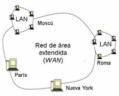 Tipos de Red y Topología