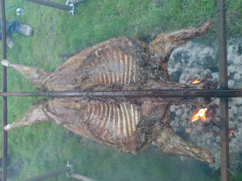 [image-upload-30-763224.jpg]