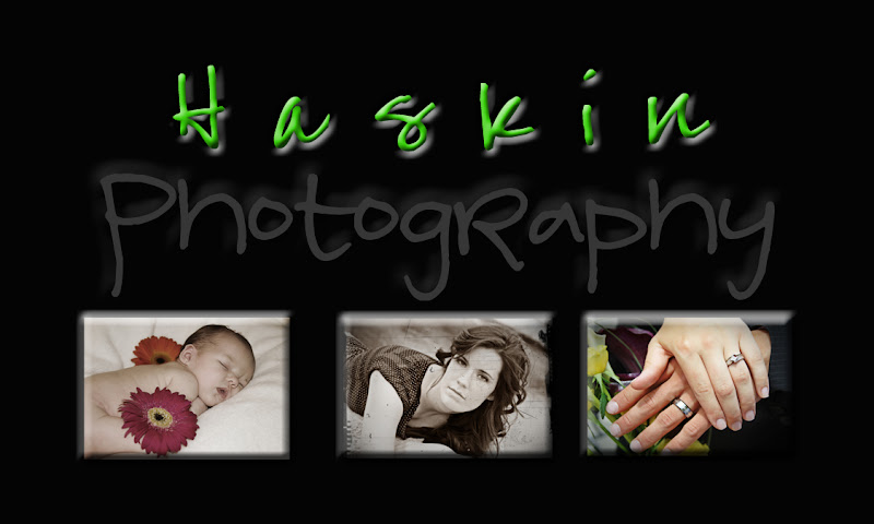 Dani Haskin Photography