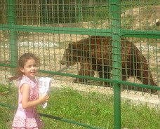 în grădina zoologică din Sibiu