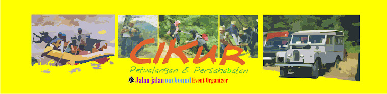 Cikur