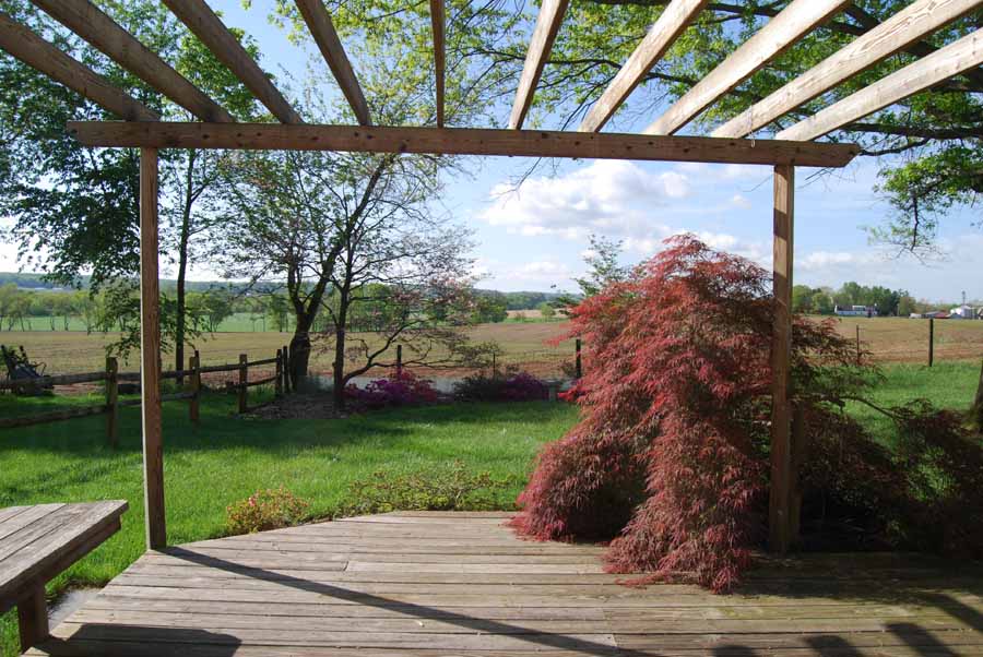 Lew's Other Pics: Window Views - Then and now