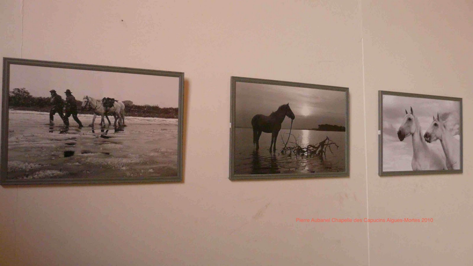 Regards d'AiguesMortes Pierre Aubanel, photographe et manadier