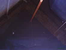 Look Close!